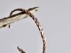 Bracelet Tryade, bracelet en argent fait main par Maryjou — vue 5