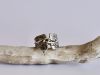 Bague éclat, bague en argent fait main par Maryjou — vue 5