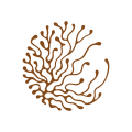 Logo et declinaisons copie 36 scaled 2c23a3a2